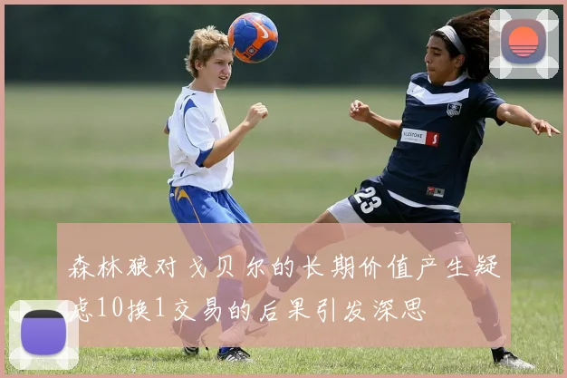森林狼对戈贝尔的长期价值产生疑虑10换1交易的后果引发深思